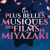 icone miyazaki